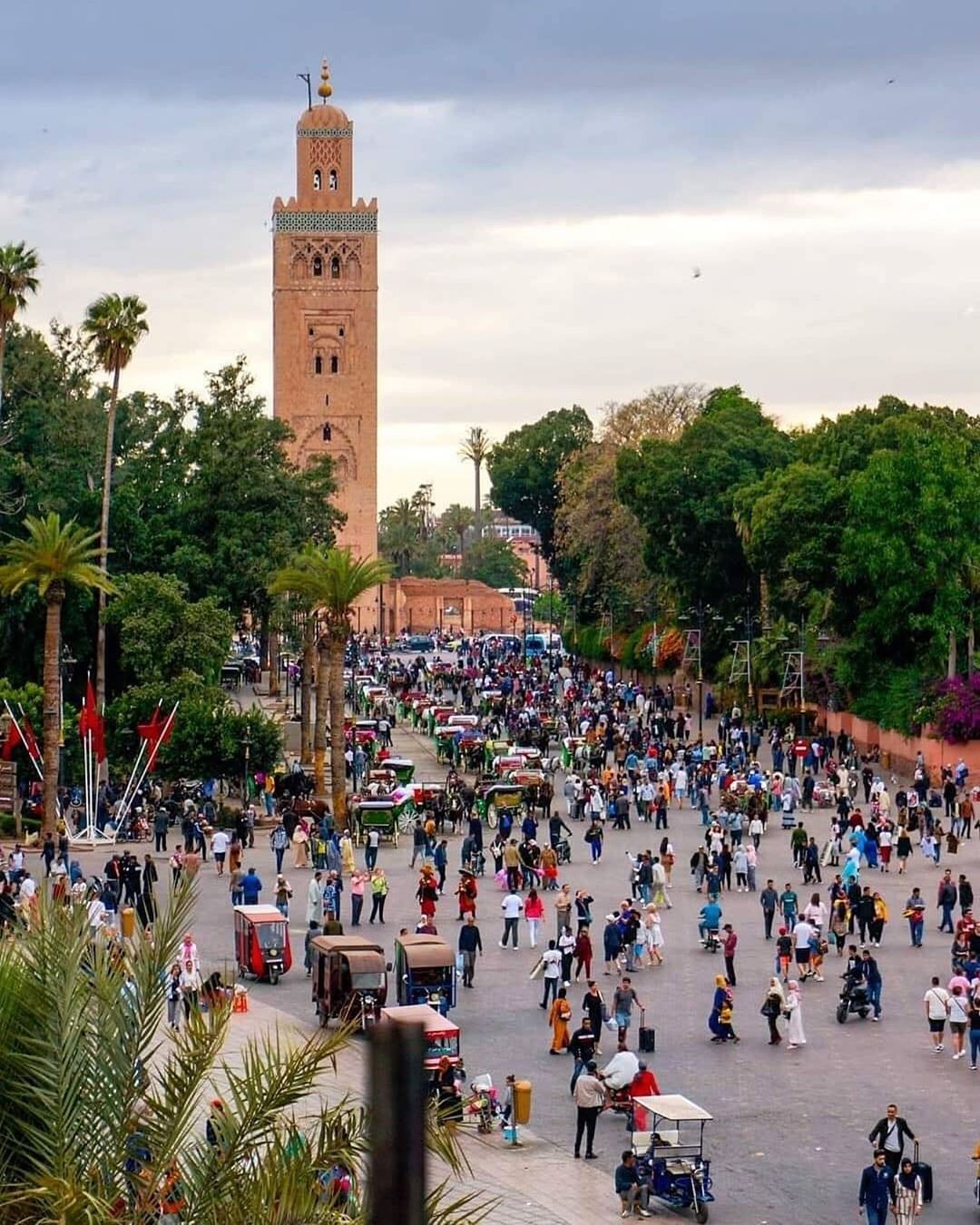Casablanca to Marrakech tour