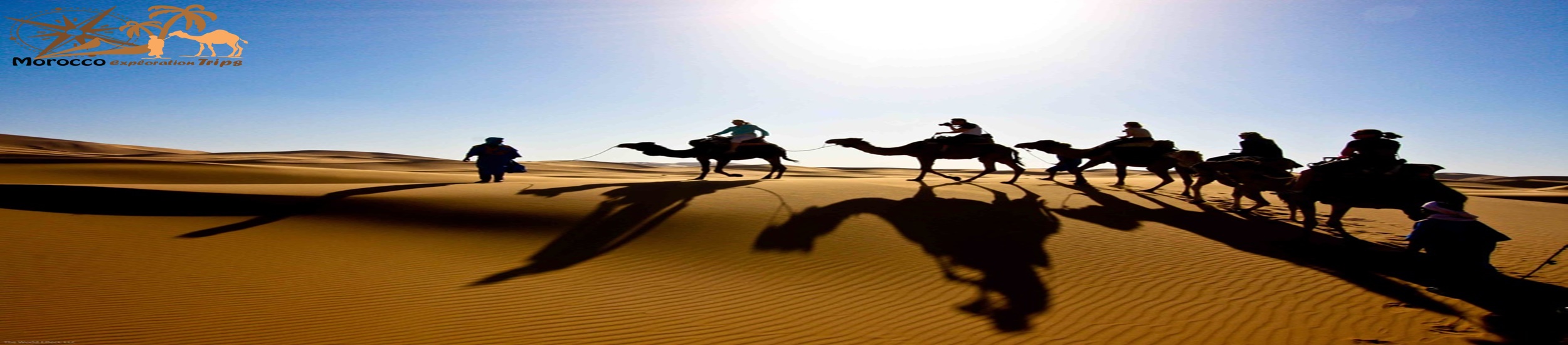 Camel rides in Morocco desert
