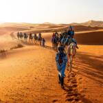 Group tours Morocco