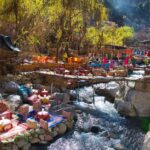 Marrakech to Ourika Valley day trip